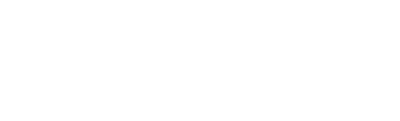 adeptaudio